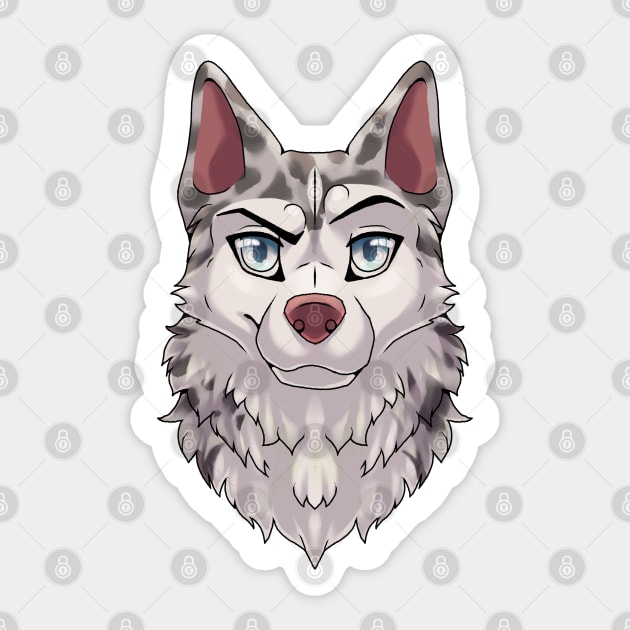 Blue merle husky top